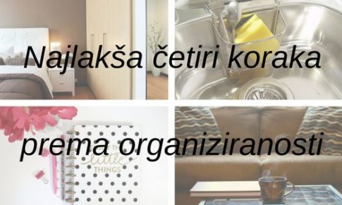 PRVI KORACI PREMA ORGANIZIRANOSTI